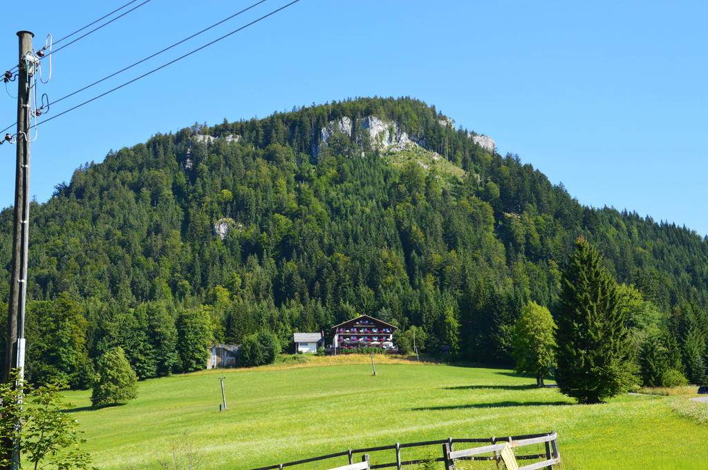 Berghotel Predigstuhl Bad Goisern Exteriör bild